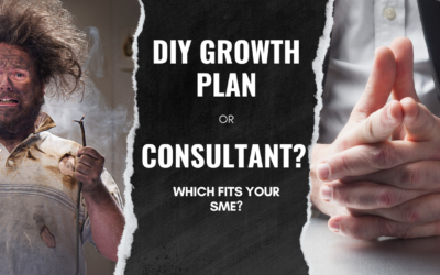 DIY Growth Plan vs. Expert Help: Which Fits Your SME?